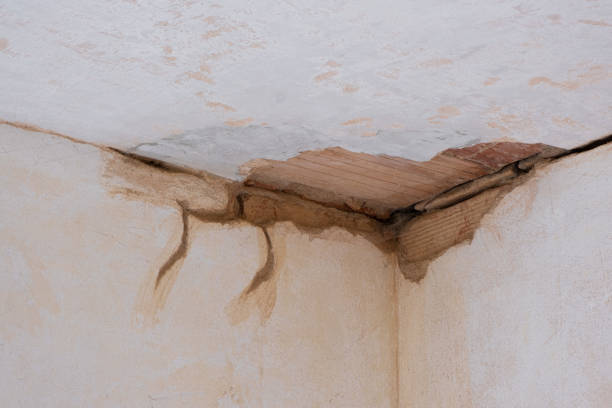  Altoona, IA Water damage restoration Pros